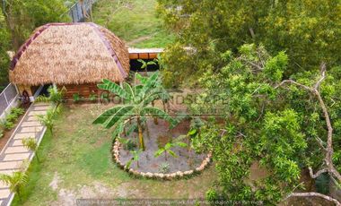 Modern House & Lot / Villa for Sale located in Panglao Island, Bohol