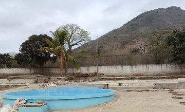 Terreno en venta en los Bajos de Afuera - Montecristi - Manabí