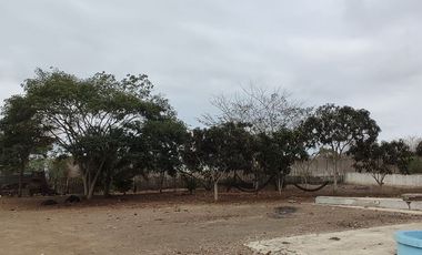 Terreno en venta en los Bajos de Afuera - Montecristi - Manabí