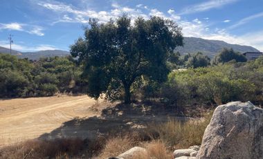 TERRENO EN TRASPASO EN HACIENDA TECATE