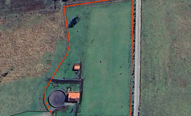 Pesebreras en Loncotoro Llanquihue