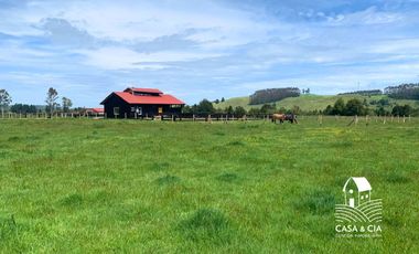 Pesebreras en Loncotoro Llanquihue