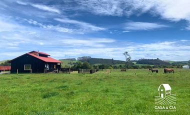 Pesebreras en Loncotoro Llanquihue