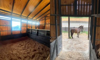 Pesebreras en Loncotoro Llanquihue