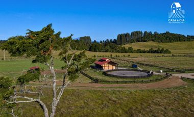 Pesebreras en Loncotoro Llanquihue