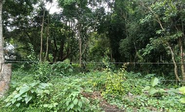 VENTA DE LOTE EN FLORIDA BUCARAMANGA