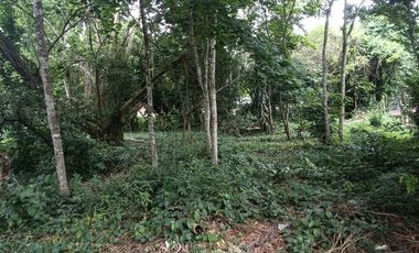 VENTA DE LOTE EN FLORIDA BUCARAMANGA