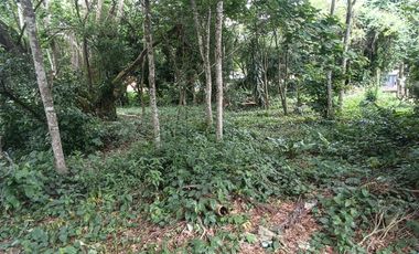 VENTA DE LOTE EN FLORIDA BUCARAMANGA