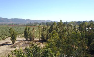 Gran Loteo Puente Negro Condominio Los Olivos
