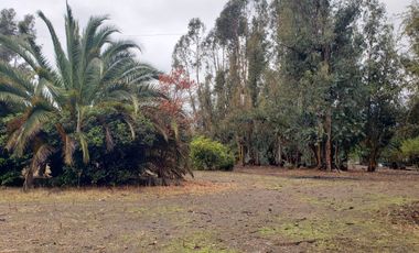 Gran Loteo Puente Negro Condominio Los Olivos
