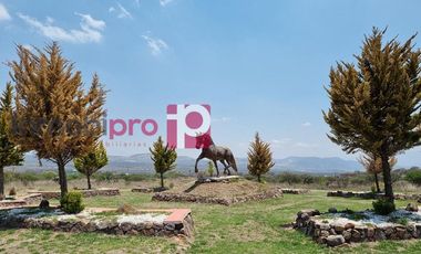 TERRENO EN VENTA EN HUICHAPAN HIDALGO