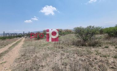 TERRENO EN VENTA EN HUICHAPAN HIDALGO