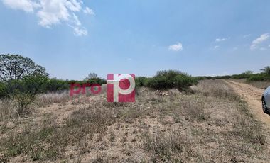 TERRENO EN VENTA EN HUICHAPAN HIDALGO