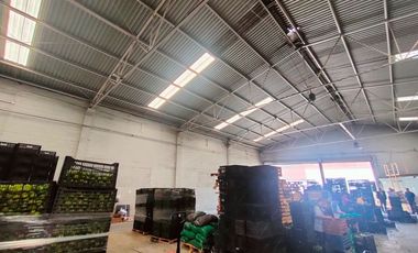 Bodega en Monterrey