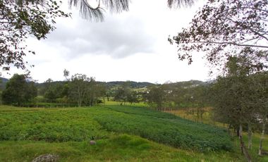 SE VENDE FINCA GANADERA Y AGRICOLA EN ARCABUCO BOYACA