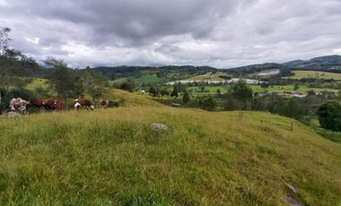 SE VENDE FINCA GANADERA Y AGRICOLA EN ARCABUCO BOYACA