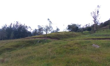 SE VENDE FINCA GANADERA Y AGRICOLA EN ARCABUCO BOYACA
