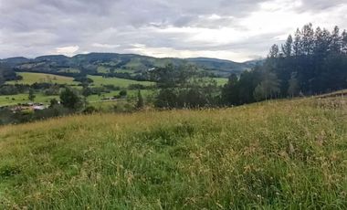 SE VENDE FINCA GANADERA Y AGRICOLA EN ARCABUCO BOYACA