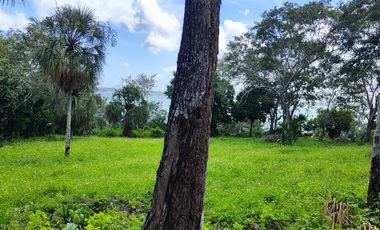 TERRENO EN BACALAR