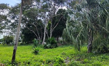 TERRENO EN BACALAR