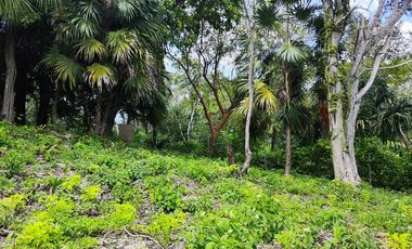 TERRENO EN BACALAR
