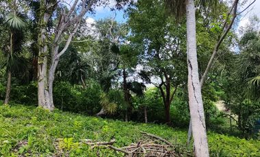 TERRENO EN BACALAR
