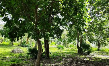 TERRENO EN BACALAR