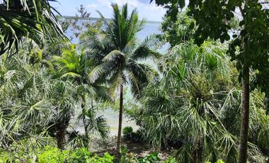 TERRENO EN BACALAR