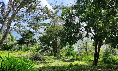 TERRENO EN BACALAR