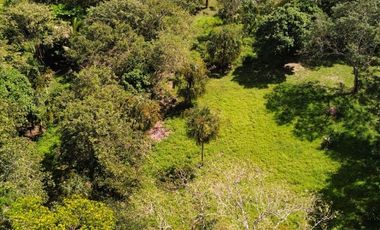 TERRENO EN BACALAR