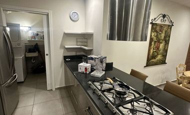 RENTA DEPARTAMENTO AMUEBLADO CARSO TORRE CLAUDEL, LAGO ZURICH 219
