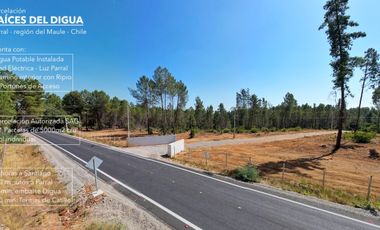 VENDO PARCELAS AGRADO 5000M2  PARRAL, AGUA POTABLE INSTALADA Y LUZ, CAMINO ASFALTADO HASTA EL PROYECTO