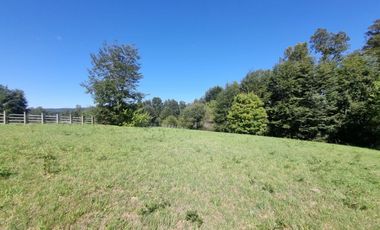 Parcela con Bosque y Orilla de Río Cayumapu