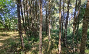 Parcela con Bosque y Orilla de Río Cayumapu