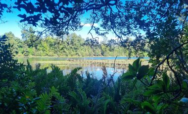 Parcela con Bosque y Orilla de Río Cayumapu