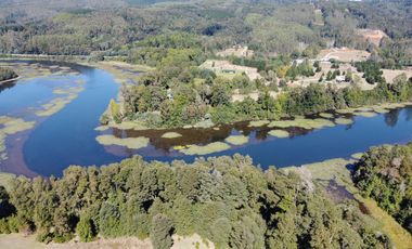 Parcela con Bosque y Orilla de Río Cayumapu
