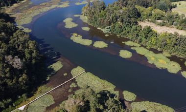 Parcela con Bosque y Orilla de Río Cayumapu