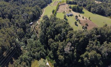 Parcela con Bosque y Orilla de Río Cayumapu