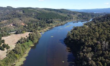 Parcela con Bosque y Orilla de Río Cayumapu