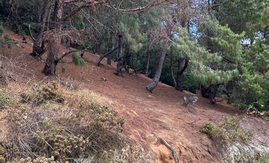 SE VENDE LOTE PARA PROYECTO CAMPESTRE EN OICATA SALIDA DE TUNJA