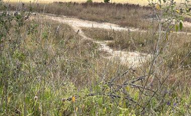 SE VENDE LOTE PARA PROYECTO CAMPESTRE EN OICATA SALIDA DE TUNJA