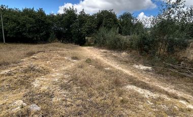 SE VENDE LOTE PARA PROYECTO CAMPESTRE EN OICATA SALIDA DE TUNJA