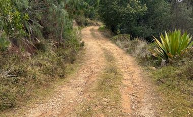 SE VENDE LOTE PARA PROYECTO CAMPESTRE EN OICATA SALIDA DE TUNJA