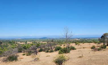 Parcela rodeada de viñas con vista única al valle del Maule - San Javier