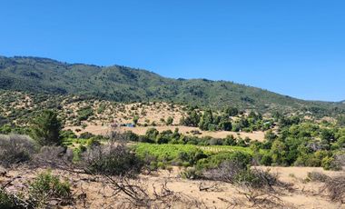 Parcela rodeada de viñas con vista única al valle del Maule - San Javier