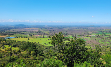 Parcela rodeada de viñas con vista única al valle del Maule - San Javier