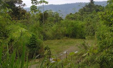 Venta de Terreno