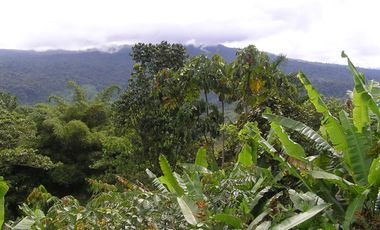 Venta de Terreno