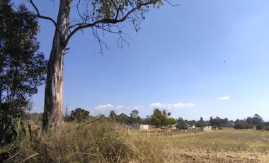 Terreno en venta en San Francisco Atexcanzinco