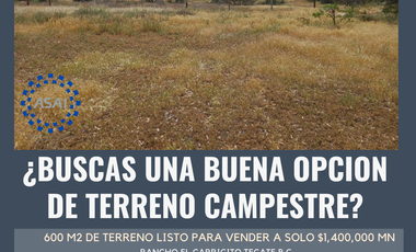 Terreno Campestre en venta en Tecate, Rancho EL Carricito
